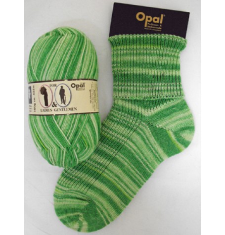 Opal Ladies and Gentlemen Sock Yarn 